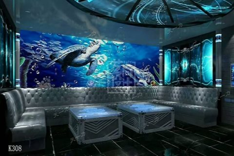 潍坊小时场ktv低端场，体验不一样的夜生活-坊子区ktv预定